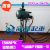 NRE-1000气动葫芦价格,韩国NPK气动葫芦,保质一年